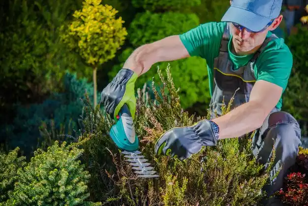 landscaping services Steep Falls